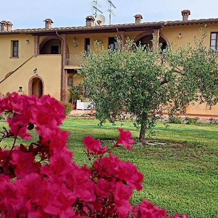 Il Chiassetto Agriturismo No Kids Cascina Eksteriør bilde