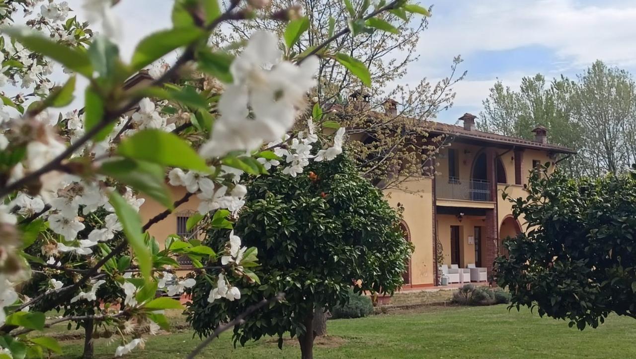 Il Chiassetto Agriturismo No Kids Cascina Eksteriør bilde