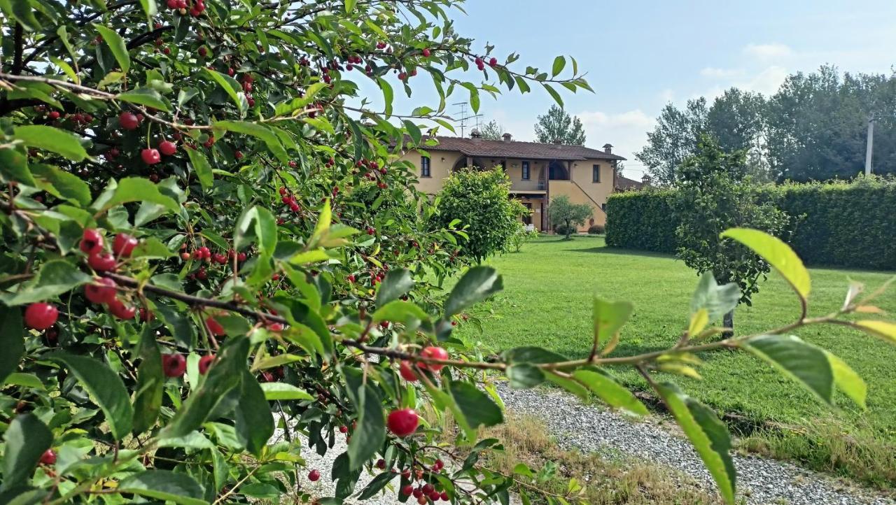 Il Chiassetto Agriturismo No Kids Villa Cascina Eksteriør bilde