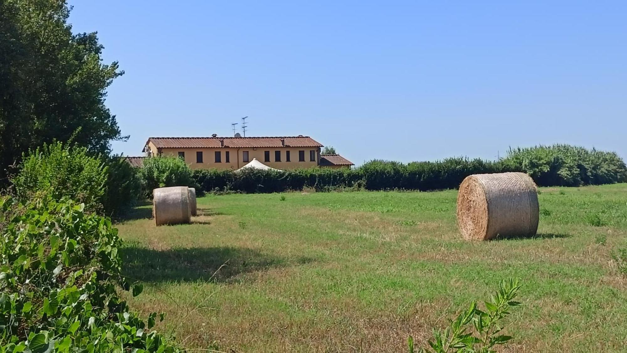 Il Chiassetto Agriturismo No Kids Cascina Eksteriør bilde